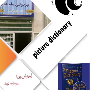 Picture Dictionary